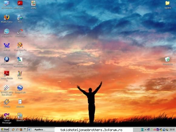 Nota pt desktop - ***Winnie-Any*** - ┼Cafenea┼